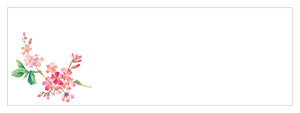高級和紙おてもとマット　吉野桜